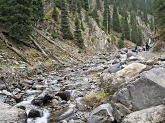 -塞罕坝国家级自然保护区