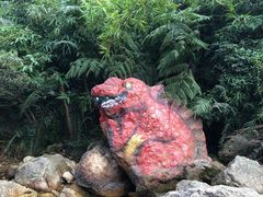 -南海湾森林生态园