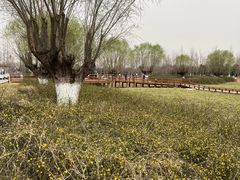 -汉长安城未央宫国家考古遗址公园