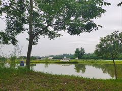 -金谷域澳洲庄园