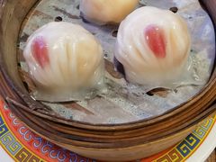 -憶廟街 X 沙角邨(太古城店)