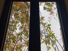-府河摄影公园
