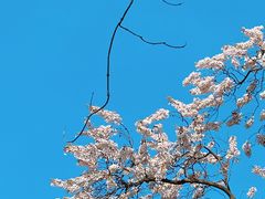 -红星桥(地铁站)