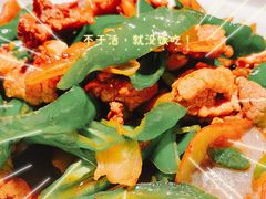 辣椒炒肉-佬肥猫(国华广场店)