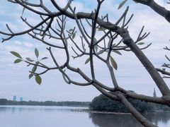 -海珠湖公园