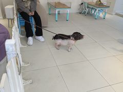 -怪兽屋·羊驼·猫咖·狗咖(俊华广场店)