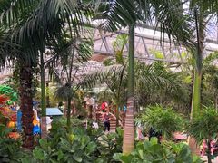 -南宫五洲植物乐园