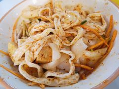 石河子风味凉皮-董小西的凉皮和椒麻鸡(三元桥店)