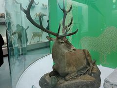 -国家自然博物馆