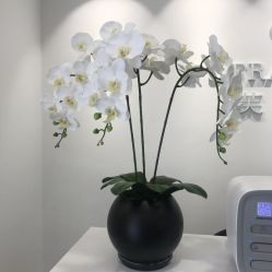 -芙芬芳·半永久纹眉（深圳旗舰店）