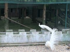 -南京金牛湖风景区