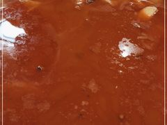 -冯记香辣兔火锅(茶店子总店)