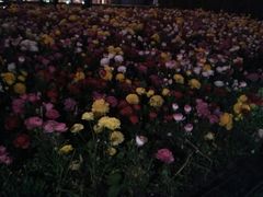 -复旦大学光华楼
