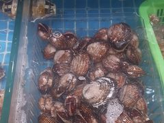 -和源祥·日照菜扛把子(万平口一店)