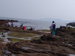 -青岛第二海水浴场