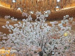 -苏州香格里拉大酒店