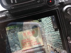 -田德能咖啡博物馆