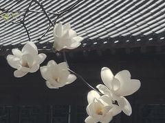 -护国法轮寺
