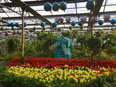 -南宫五洲植物乐园