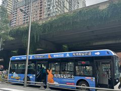 -帕帕拉兹宠物(亚洲旗舰店)