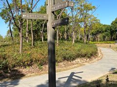 -春花秋色城市公园