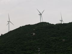 -东澳岛