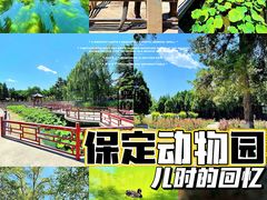 -保定市动物园