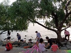 -宝安西湾红树林湿地公园