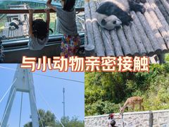 -大连森林动物园