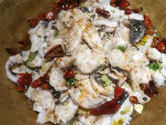 -百岁鱼(望月路店)