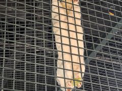 -上海大自然野生昆虫馆(东方明珠·爬宠昆虫探索中心)