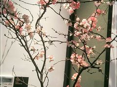 -子福慧(虹桥店)