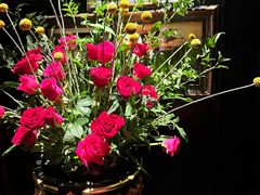 -弦月窗LUNETTE BY AMANDA(复兴路店)