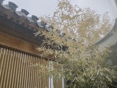 -曲廊院(东四十一条店)