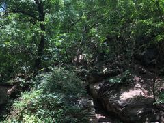 -北京上方山国家森林公园