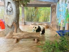 -海南热带野生动植物园