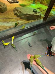 -酷嗒动物文化乐园(cutezoo西溪乐天城店)