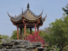 -顺峰山公园