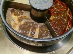 -巴奴毛肚火锅(九洲店)