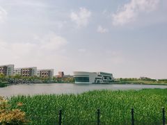 -上海海事大学(临港校区)