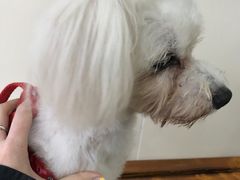 -佳雯宠物医院(四明中路分院)