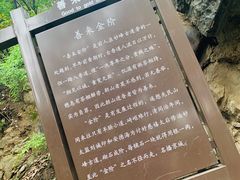 -阳台山自然风景区