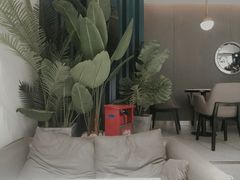 -森茶(湛江万达店)