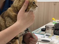 -申普宠物医院·眼科·心内科·影像科(普陀分院)