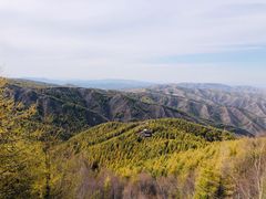 -苏木山森林公园