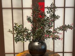 -如禾素食·下午茶·糖水