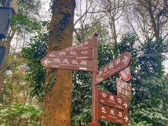 -岳麓山风景名胜区