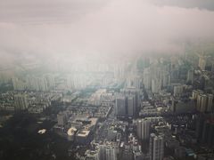 景观位-瑞吉酒店·The Drawing Room闲逸廊·云端下午茶·夜奢Whiskey