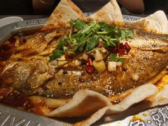 -马有鱼·馕坑烤全鱼(美美2店)