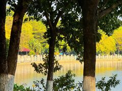 -海珠湖公园